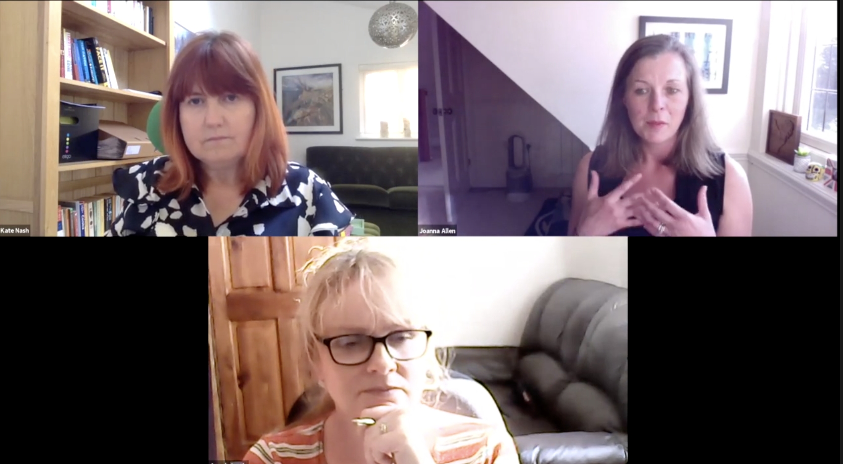 Screenshot from webinar