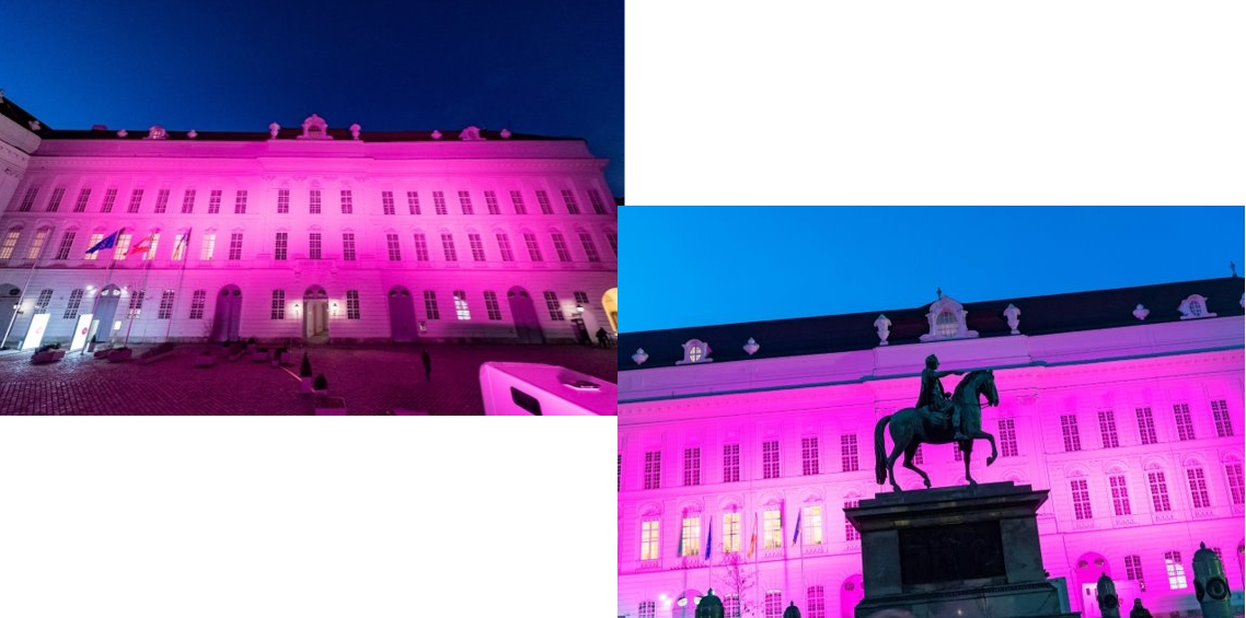 Image of Austrian buildings lighting up purple